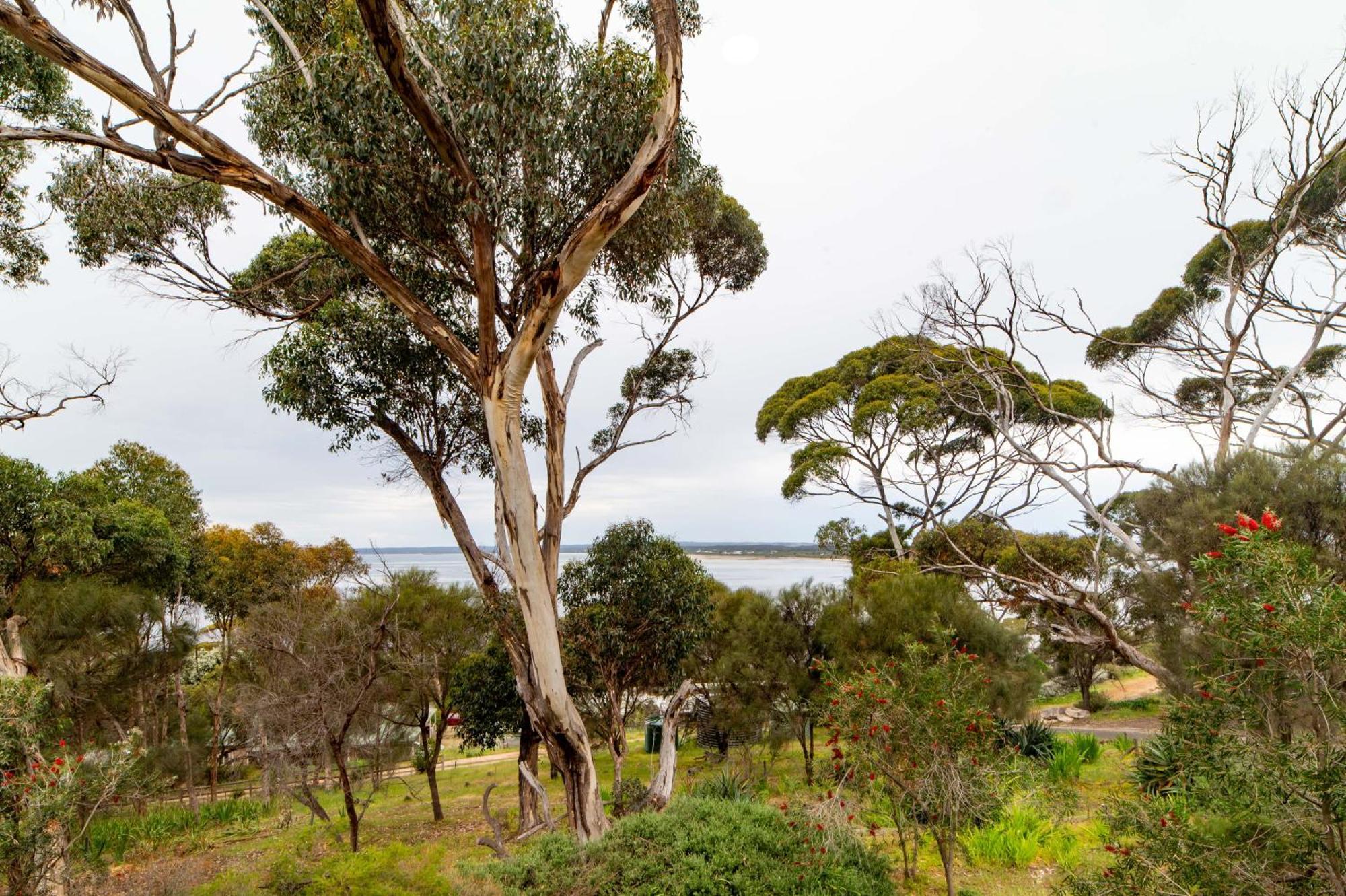 The River Suites, Kangaroo Island American River Eksteriør bilde